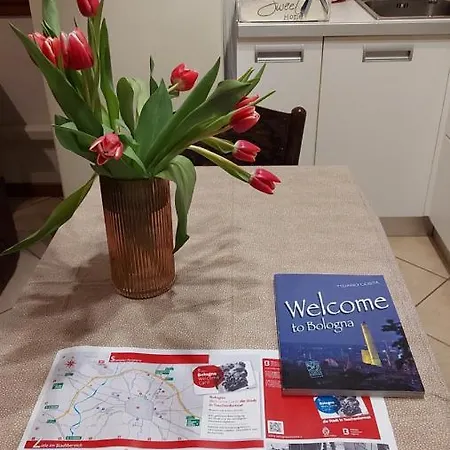 Sguardo A San Luca * Boloňa